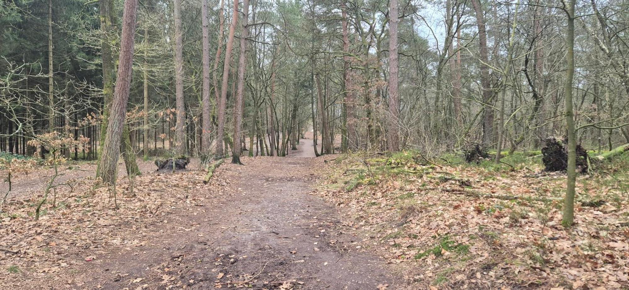 Het Veluwse Boshuisje Knus Chalet Met Omheinde Tuin Op De Veluwe Hoenderloo Buitenkant foto