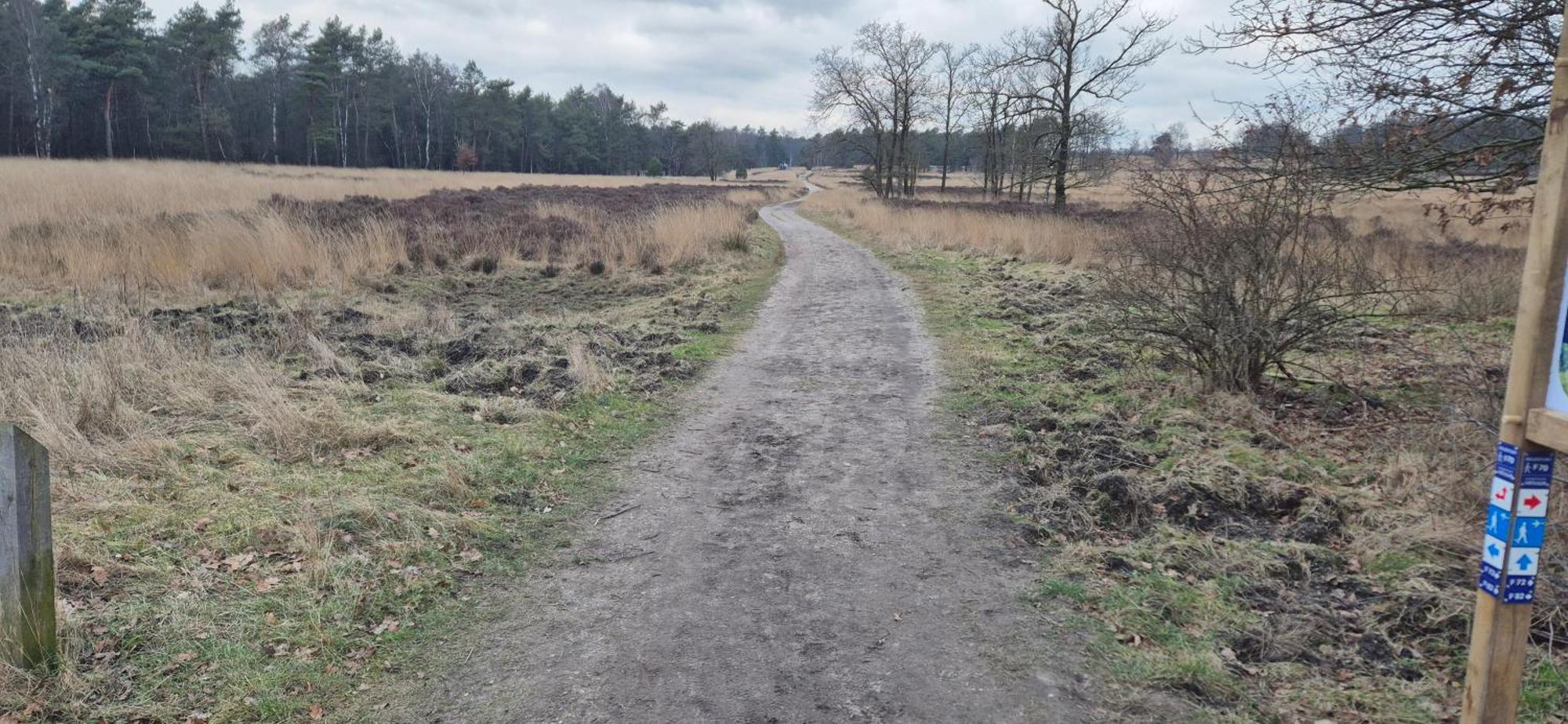 Het Veluwse Boshuisje Knus Chalet Met Omheinde Tuin Op De Veluwe Hoenderloo Buitenkant foto
