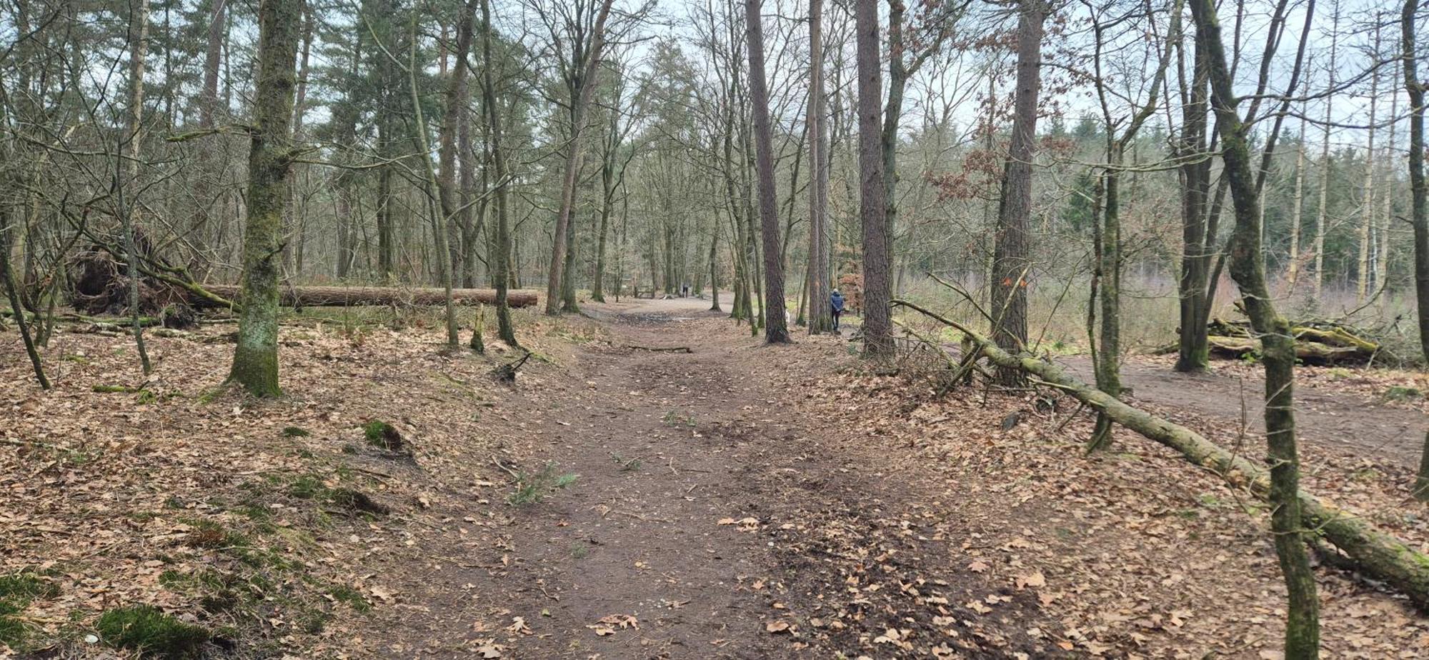 Het Veluwse Boshuisje Knus Chalet Met Omheinde Tuin Op De Veluwe Hoenderloo Buitenkant foto