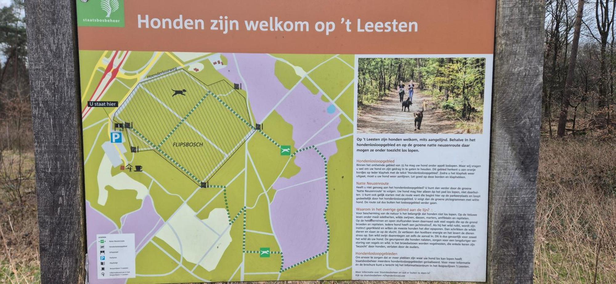 Het Veluwse Boshuisje Knus Chalet Met Omheinde Tuin Op De Veluwe Hoenderloo Buitenkant foto