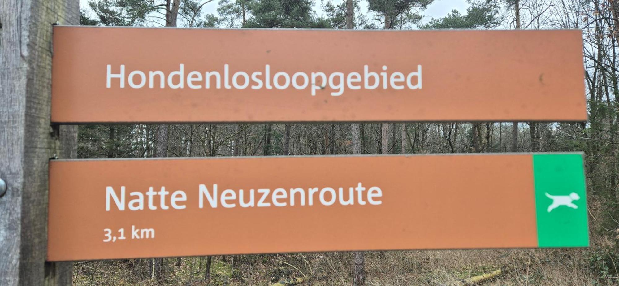 Het Veluwse Boshuisje Knus Chalet Met Omheinde Tuin Op De Veluwe Hoenderloo Buitenkant foto