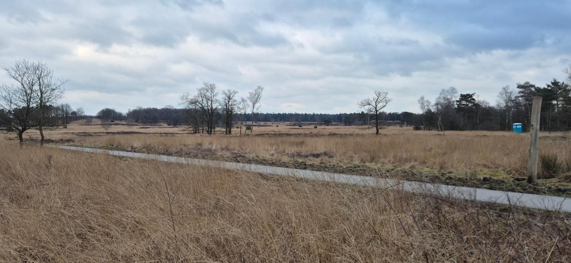 Het Veluwse Boshuisje Knus Chalet Met Omheinde Tuin Op De Veluwe Hoenderloo Buitenkant foto